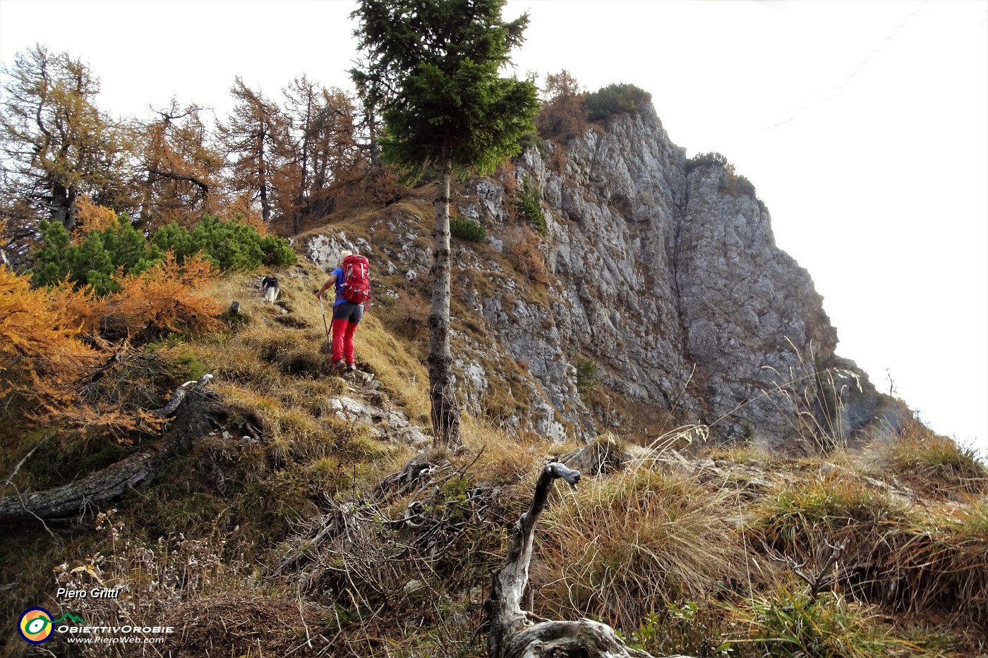 54 Saliamo per ripida traccia al Pizzo Badile.JPG -                                